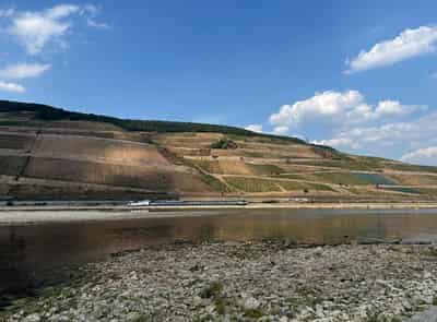 Image for Rhine levels still near record lows, disrupting transport