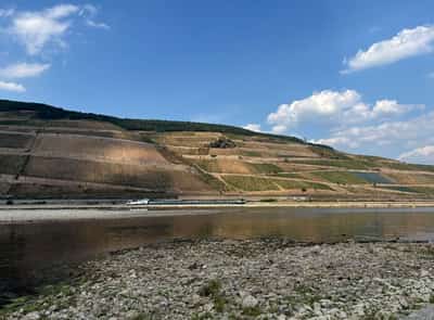 Image for Rhine levels still near record lows, disrupting transport