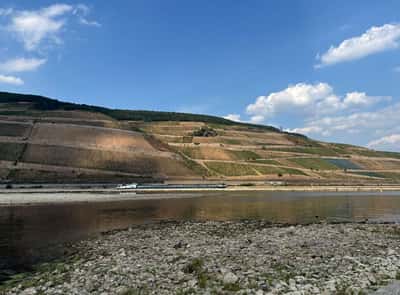Image for Rhine levels still near record lows, disrupting transport