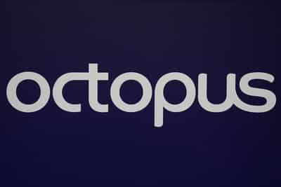 Image for Britain's Octopus Energy partners with Chinese wind turbine maker