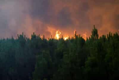 Image for France battles ‘monster’ wildfire as heatwaves scorch Europe