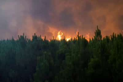 Image for France battles ‘monster’ wildfire as heatwaves scorch Europe
