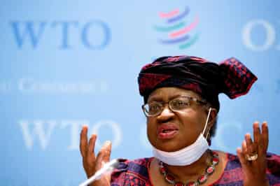 Image for WTO DG fixes July ministerial meeting on over-fishing rules