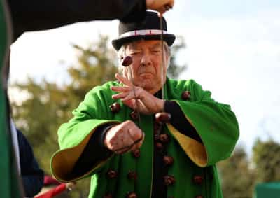 Image for Small British conkers put 2025 World Championships in jeopardy