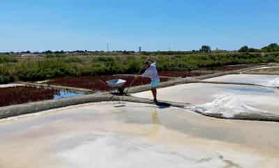 Image for The unwitting winners of France’s drought: salt farmers