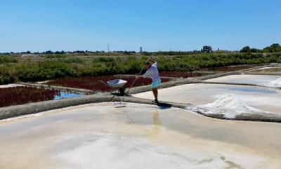 Image for The unwitting winners of France’s drought: salt farmers