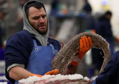 Image for EU says draft WTO fisheries deal &#8220;can be the basis for an agreement&#8221;