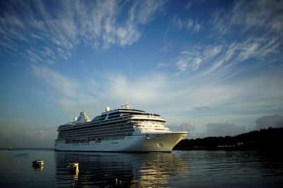 Image for Norwegian Cruise Line appoints board member John Chidsey as CEO