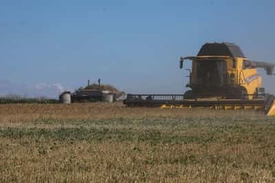 Image for Russian attacks could cut Ukraine grain exports by a third