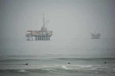Image for Steve Ziemke: Pioneering Success at Gulf Coast Western