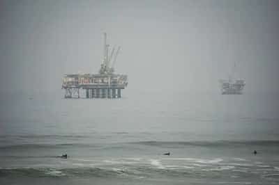 Image for Steve Ziemke: Pioneering Success at Gulf Coast Western