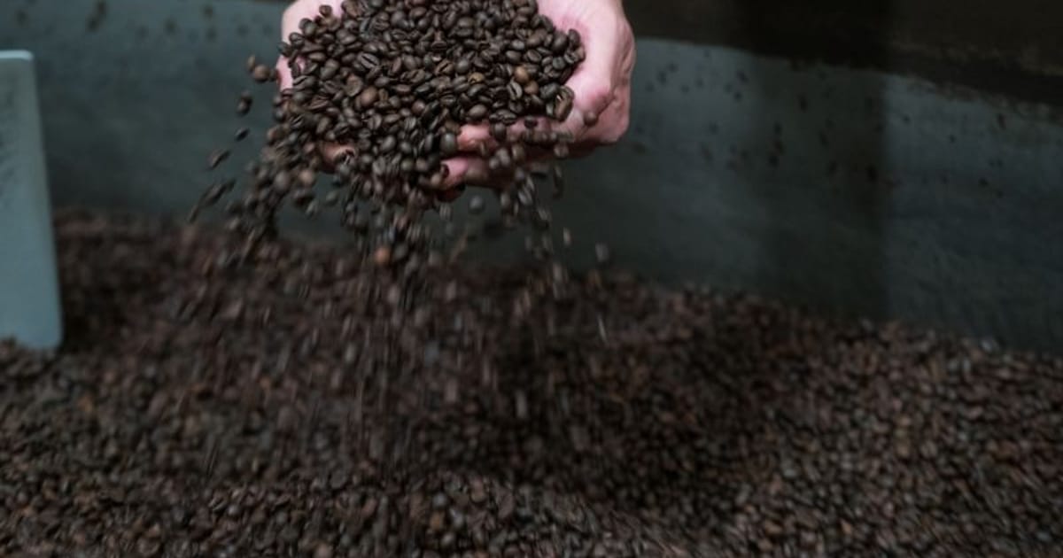 BC Partners, CVC set sights on Italian coffee firm Segafredo Zanetti as fund owner weighs sale, sources say