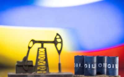 Image for Factbox-Who is buying Russian crude oil and who has stopped