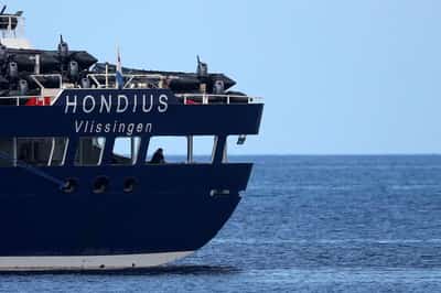 Image for Hantavirus cases from cruise outbreak rise to 13 following new case in Spain, WHO says