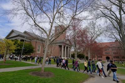 Image for Harvard University sues to block Trump from slashing billions in research funding