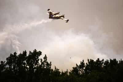 Image for Europe's huge wildfires strain waterbomber capacity, aerial firefighting firm Avincis says