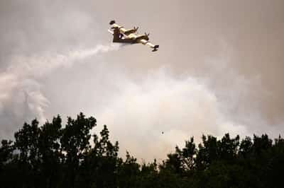 Image for Europe's huge wildfires strain waterbomber capacity, aerial firefighting firm Avincis says