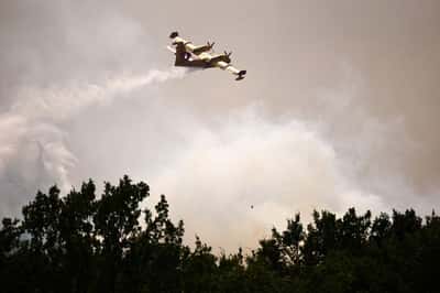 Image for Europe's huge wildfires strain waterbomber capacity, aerial firefighting firm Avincis says