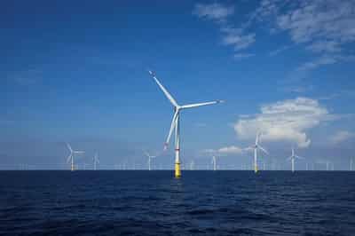 Image for European clean energy stocks tumble as Trump wins US presidency