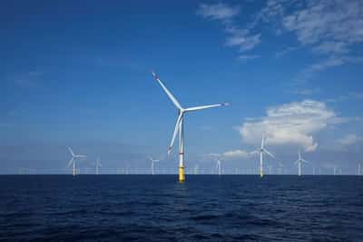 Image for European clean energy stocks tumble as Trump wins US presidency
