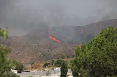Image for Spanish wildfire victims burned in cars as roads turned into death traps