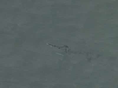Image for Russia prepares to reroute grain exports from Sea of Azov after Ukrainian attacks