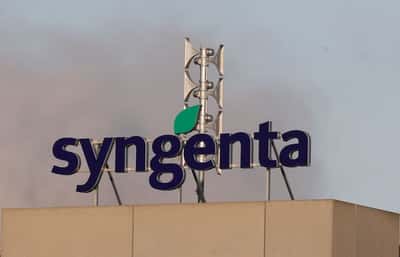 Image for Syngenta's $5 billion HK IPO pushed back amid agriculture sector uncertainty, Bloomberg News reports