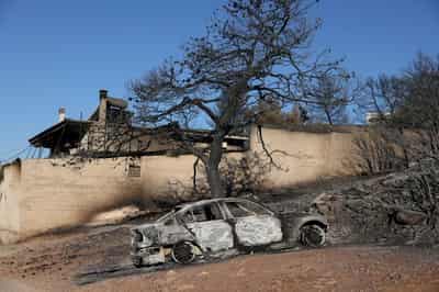 Image for Vegetation loss from Greek wildfires sharply raised soil temperature, report says