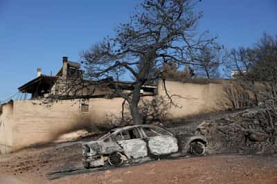 Image for Vegetation loss from Greek wildfires sharply raised soil temperature, report says