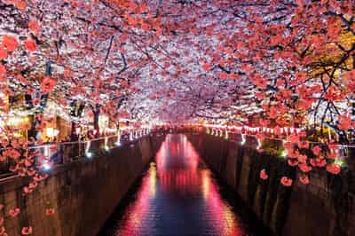 Image for Japan's cabinet approves record $730 billion budget for next fiscal year