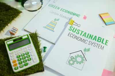 Image for Rethinking the Cost of Sustainability Reporting