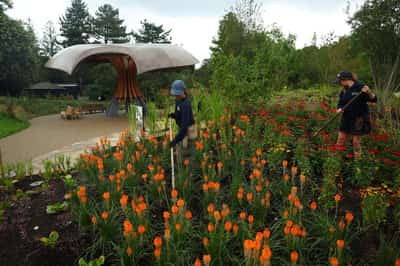 Image for London's Kew Gardens opens carbon garden to highlight climate crisis