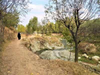 Image for Kashmir’s farmers suffer floods and drought as glaciers melt