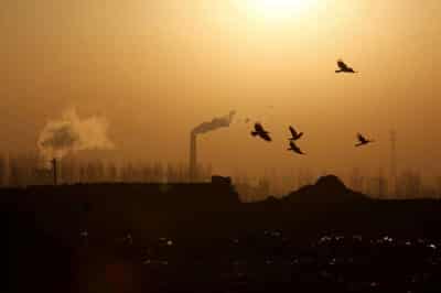 Image for Analysis-Europe faces sceptical globe with carbon border levy