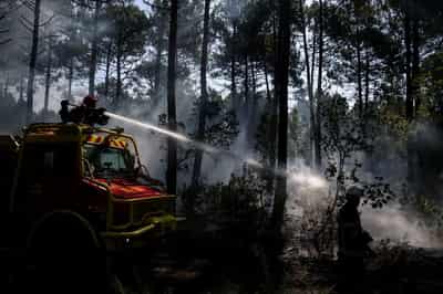 Image for European wildfires likely to increase insurance demand, Swiss Re says