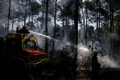 Image for European wildfires likely to increase insurance demand, Swiss Re says