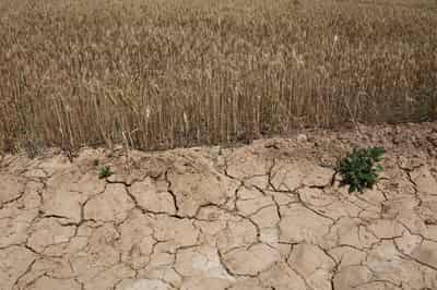 Image for Central banks told to prepare for climate shock to labour market
