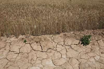 Image for Central banks told to prepare for climate shock to labour market