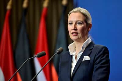 Image for German far-right leader is a Chinese-speaking economist with foreign partner