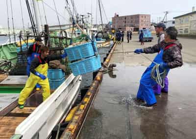 Image for For Japanese fishing town of Nemuro, Moscow holds key to survival