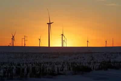 Image for Analysis-Tentative green energy shoots at risk from US vote uncertainty