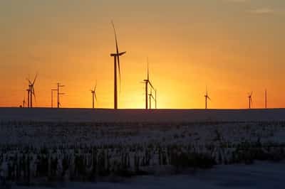Image for Analysis-Tentative green energy shoots at risk from US vote uncertainty