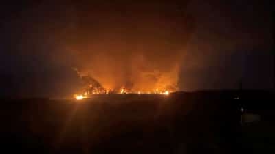 Image for Ukrainian attacks on Wildberries strike at heart of Russia Inc