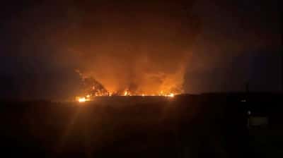 Image for Ukrainian attacks on Wildberries strike at heart of Russia Inc