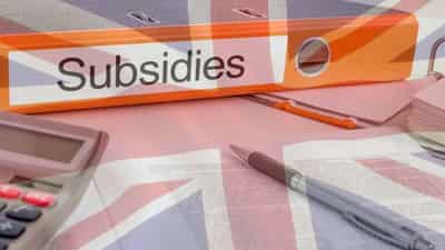 Image for Subsidies in the UK: what Brexit means for State support