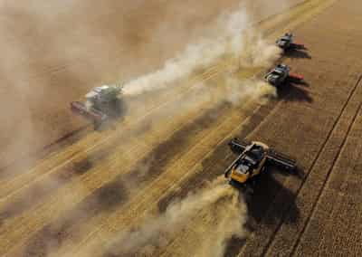 Image for Column-Black Sea grain exports beating early market ideas by substantial degree -Braun