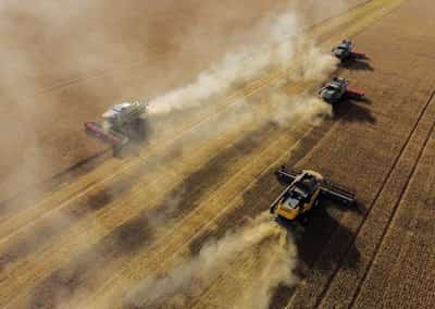 Image for Column-Black Sea grain exports beating early market ideas by substantial degree -Braun