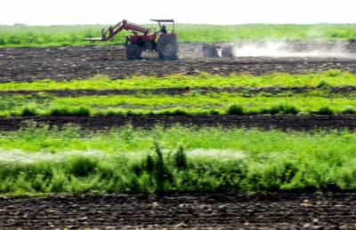 Image for Factbox-Europe&#8217;s fight to make farming subsidies &#8216;green&#8217;