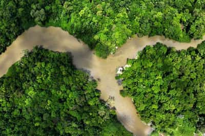 Image for Countries make fresh attempt at $200 billion nature finance deal