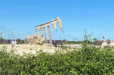 Image for Oil price outlook steady as rising supply offset by concerns over Russian output: Reuters poll